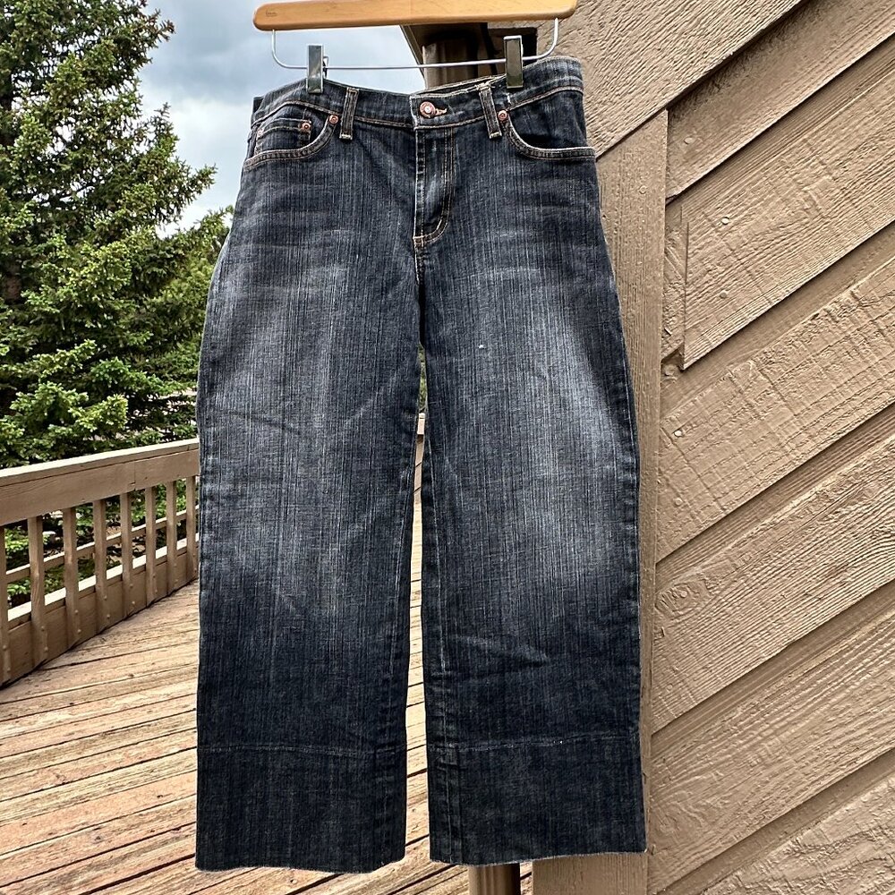 RARE EUC David Kahn Rigid Dark Wash Capri Jeans